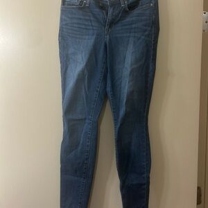 William Rast Blue Skinny Jeans with Classic Style